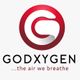 Godxygen 