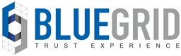 BlueGrid Financial Services LLP Home