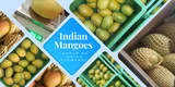 Indian Mangoes
