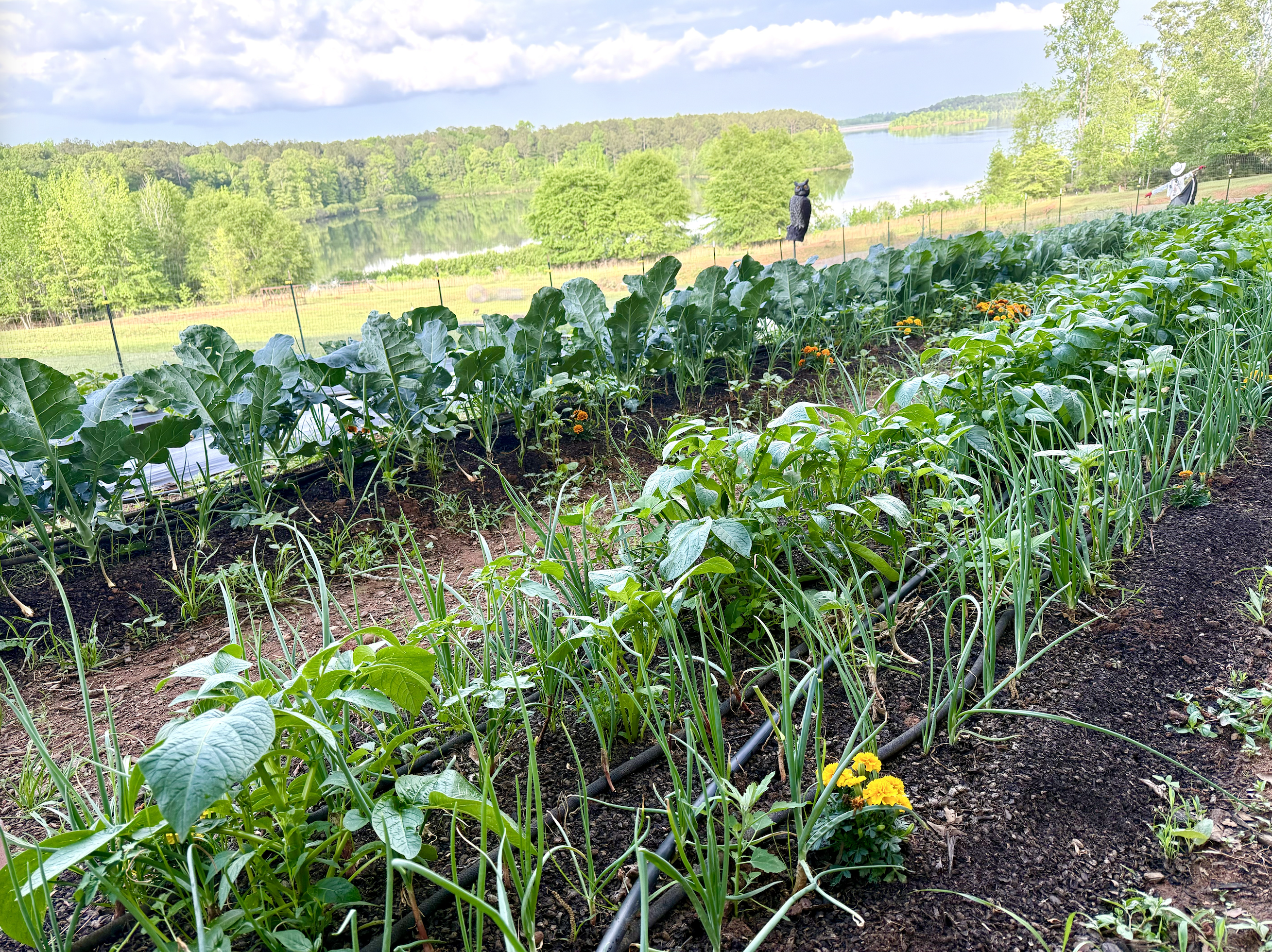 About us banner image