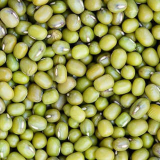 Mung Beans (Kacang Hijau)