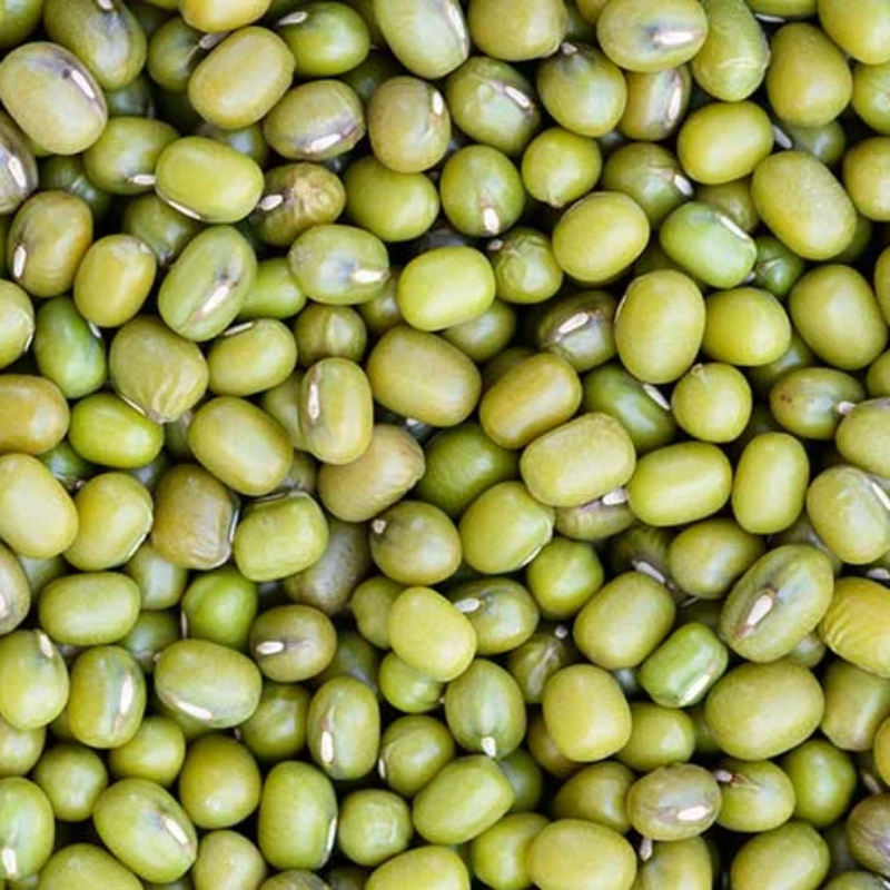 Mung Beans (Kacang Hijau) Main Image