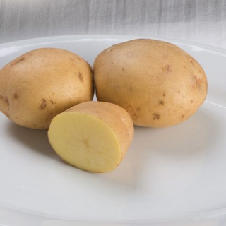 Patates Belmonda - à chair jaune