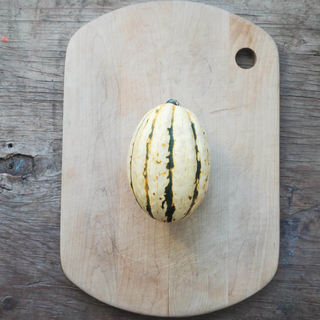 Courge Jester (à l'unité)
