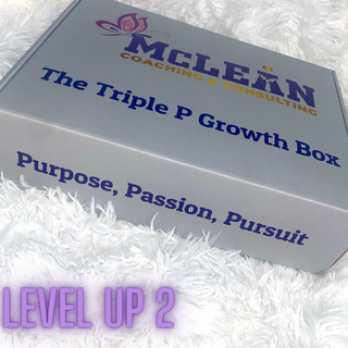 Level Up 2 ( Triple P Growth Box , DISC assessment and debrief)