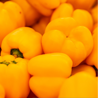 Yellow Bell Pepper