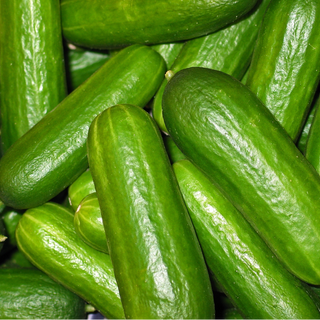 Organic Cucumber