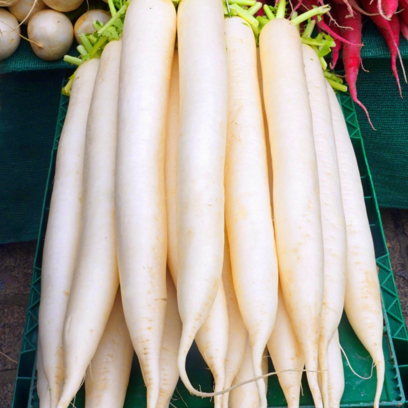 Organic Radish Main Image