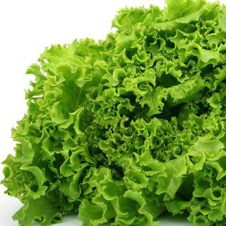 Organic Lettuce (bunch)