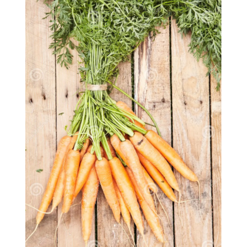 Fresh Bunched Carrots!  Main Image