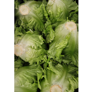 Head Lettuce