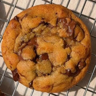 Chocolate Chip