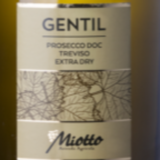 MIOTTO-Prosecco Doc Treviso Spumante Extra Dry - Thumbnail 2