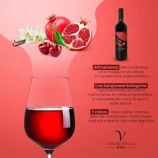 VIGNUDELLI-La Ruffiana- Sangiovese di Romagna Superiore DOC - Thumbnail 3