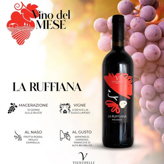 VIGNUDELLI-La Ruffiana- Sangiovese di Romagna Superiore DOC - Thumbnail 4