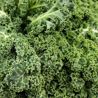 Kale Bunch