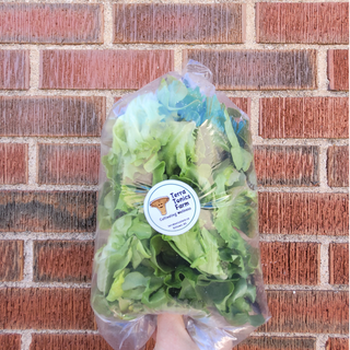 Terratonics Lettuce Mix 1/2 lb