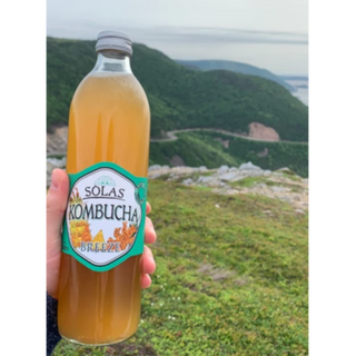 Solas Kombucha 500 ml