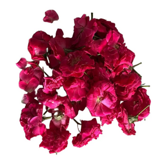 Button Roses packaged in 100 gms weight 