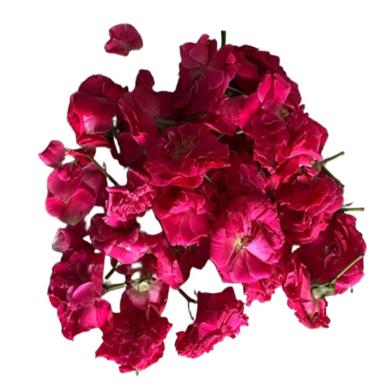 Button Roses packaged in 100 gms weight 