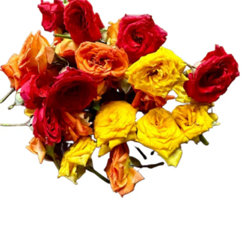 Button Roses packaged in 100 gms weight -  Assorted