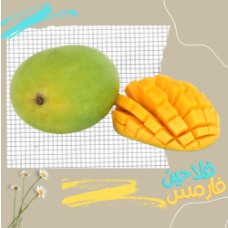 مانجو زبدية