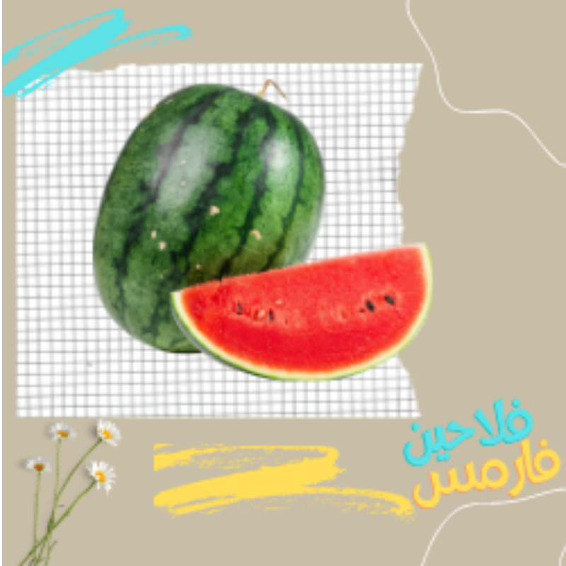 بطيخ -بوزنها