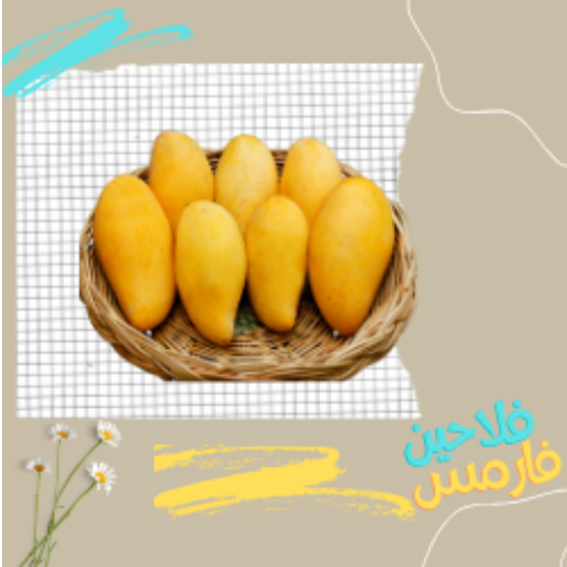 مانجو الفص