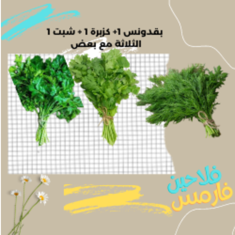 كزبره وشبت وبقدونس  Main Image