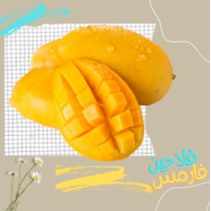 مانجو سكري