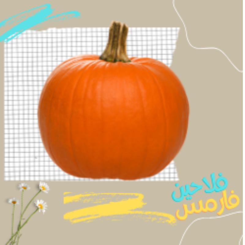 قرع العسل-بالواحدة