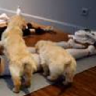 Rescue Yoga Session 1