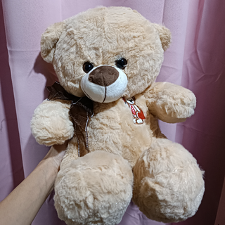 12 Inches bear Image