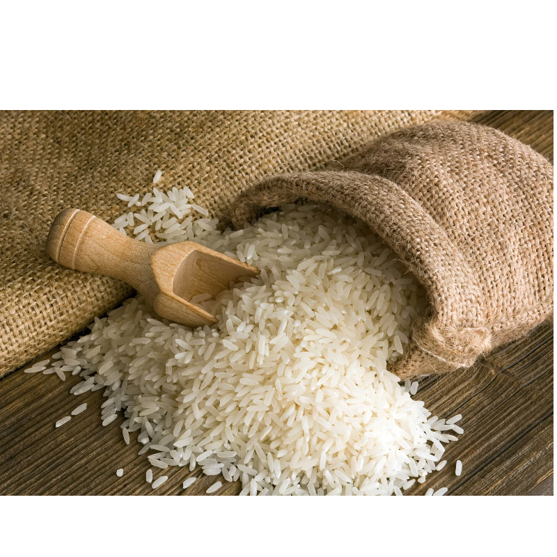 rice Main Image