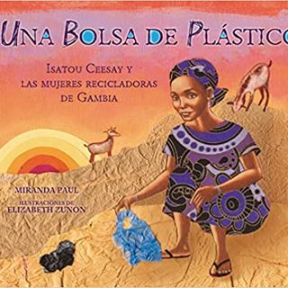 Una bolsa de plástico (Spanish Paperback)