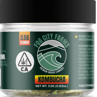 Fog City | Kombucha