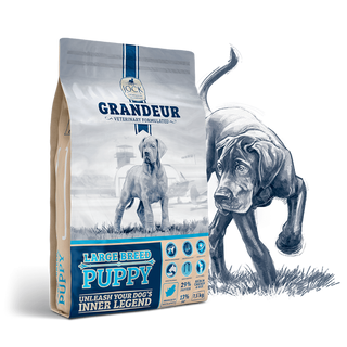 Grandeur Puppy (Large Breed)