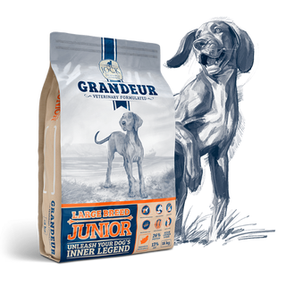 Grandeur Junior (Large Breed | 8 -24 months) 