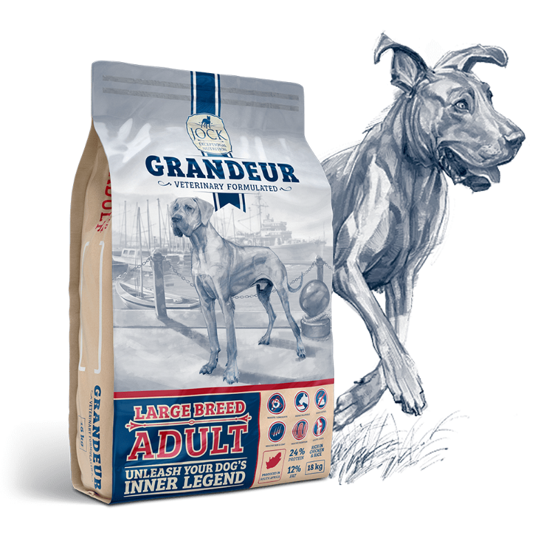 Grandeur Adult (Large Breed) Main Image