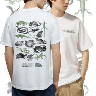 Exotic Reptile