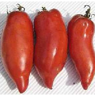 Paste Tomatoes