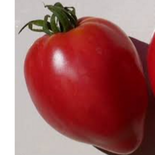 305 German Red Strawberry