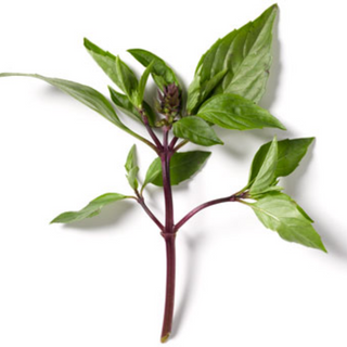 902 Thai Basil