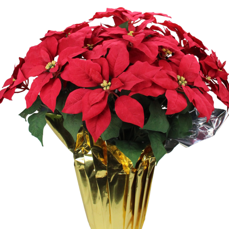 4.5" Red Poinsettia