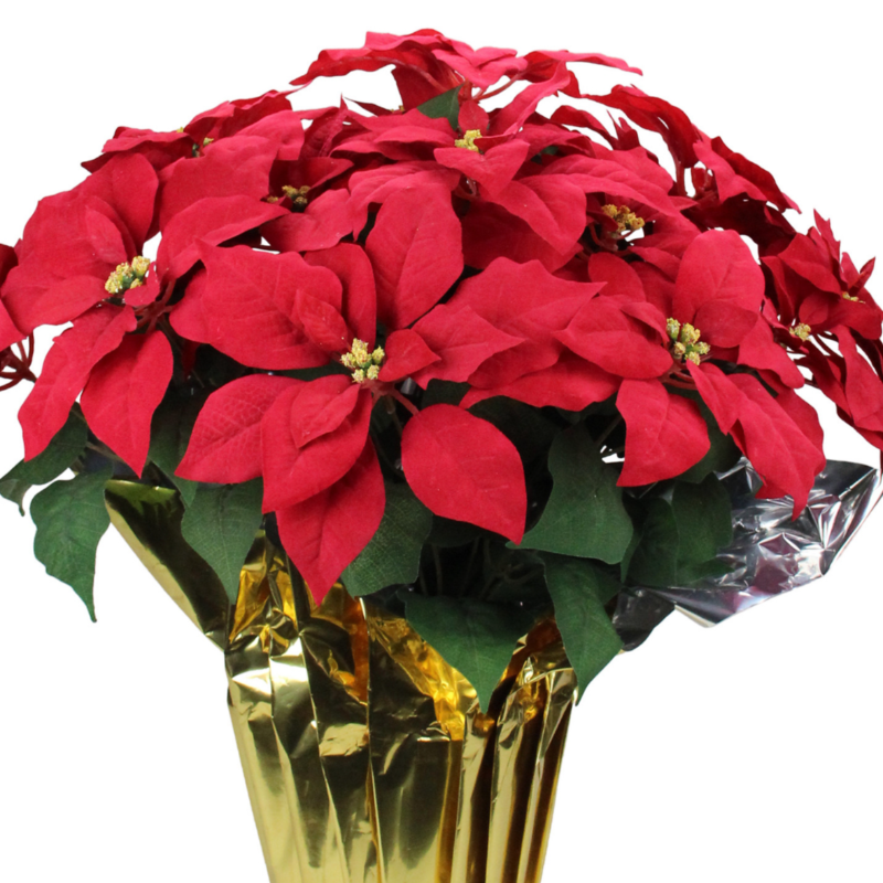 10" Red Poinsettia