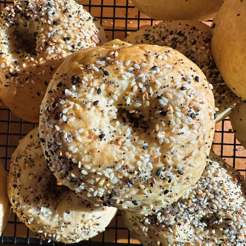 Bagels - Everything Main Image