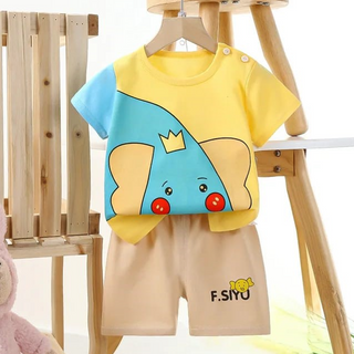 Baby T-Shirt Set