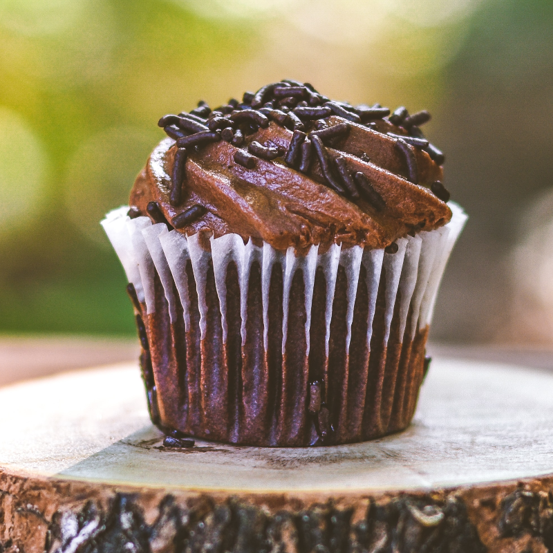 Chocolate Truffle Cupcakes Main Image