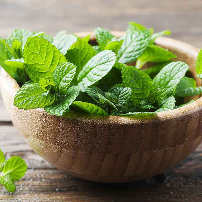 MINT PEPPER LEAVES - 50GR/PKT