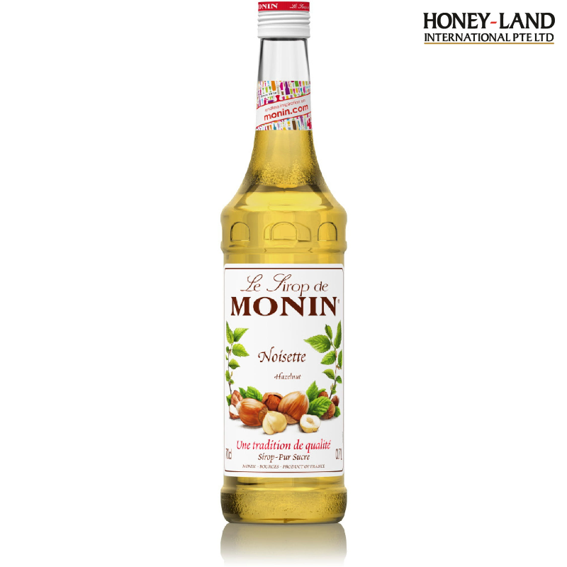 HAZELNUT SYRUP MONIN